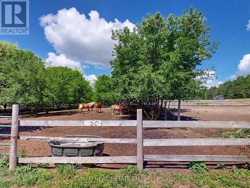 paddock - 16558 Highway 48, Whitchurch-Stouffville, ON - Outdoor With View