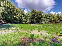 back yard facing north to barn in distance - 