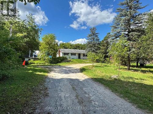 view from driveway - drilled well at red cone - 16558 Highway 48, Whitchurch-Stouffville, ON - Outdoor