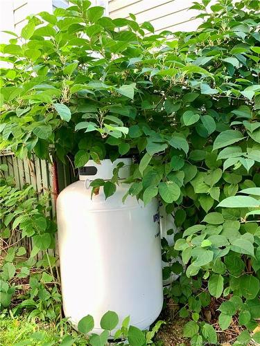 407 Victoria, Dalhousie, NB 