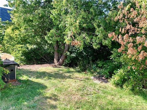 407 Victoria, Dalhousie, NB 