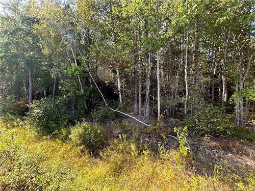 Lot 25-2 Upper Midland Rd, Norton, NB 