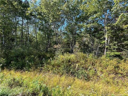 Lot 25-2 Upper Midland Rd, Norton, NB 