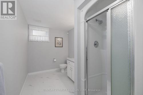3-peice bath lower level - 196 Hull Road, Strathroy-Caradoc (Ne), ON - Indoor Photo Showing Bathroom