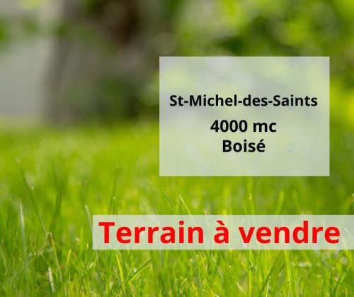 Terre/Terrain - 11-Ch. De La Belle Dame, Saint-Michel-Des-Saints, QC 