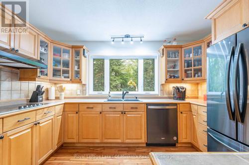 1588 Skyline Drive, Huntsville (Chaffey), ON - Indoor Photo Showing Kitchen With Double Sink