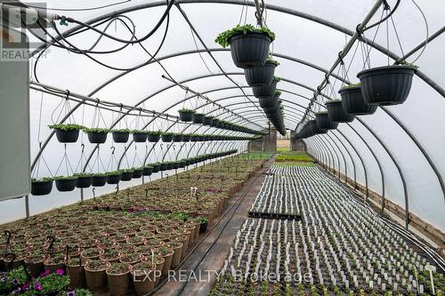 3862 Trafalgar Street, Thames Centre, ON - Indoor Photo Showing Other Room