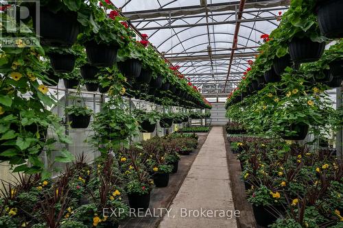 3862 Trafalgar Street, Thames Centre, ON - Outdoor