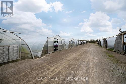 3862 Trafalgar Street, Thames Centre, ON - Outdoor