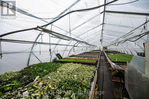 3862 Trafalgar Street, Thames Centre, ON 