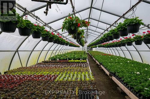 3862 Trafalgar Street, Thames Centre, ON 