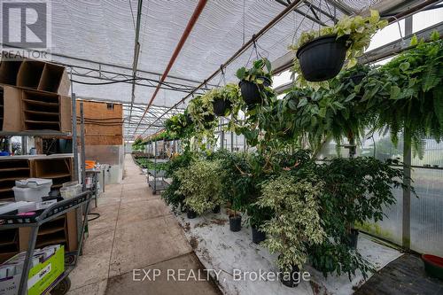 3862 Trafalgar Street, Thames Centre, ON 