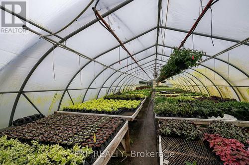 3862 Trafalgar Street, Thames Centre, ON 