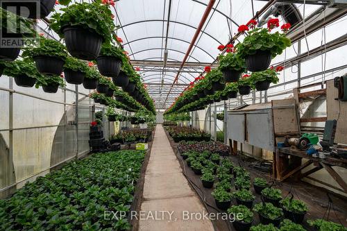 3862 Trafalgar Street, Thames Centre, ON 