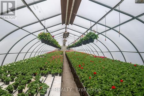 3862 Trafalgar Street, Thames Centre, ON 