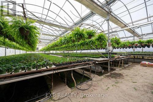 3862 Trafalgar Street, Thames Centre, ON 