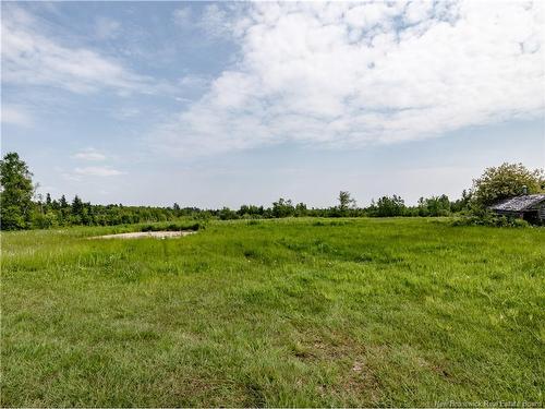 1175 Saint-Sosime Rd, Adamsville, NB 