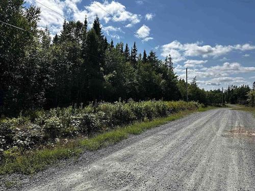Blaze Road, Loch Lomond, NS 