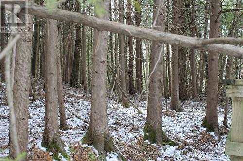 Tba Concession Rd 2, Uxbridge, ON 