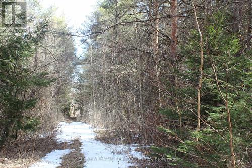 Tba Concession Rd 2, Uxbridge, ON 