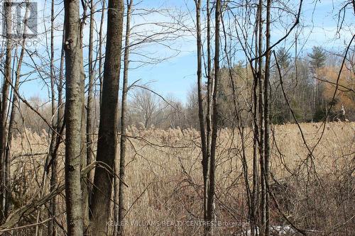 Tba Concession Rd 2, Uxbridge, ON 