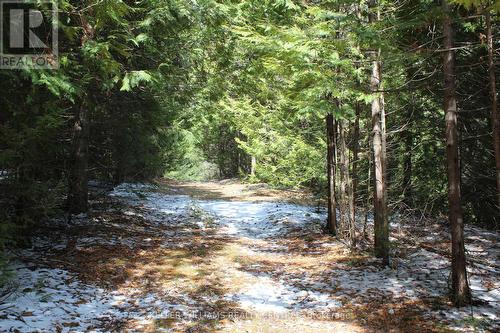 Tba Concession Rd 2, Uxbridge, ON 