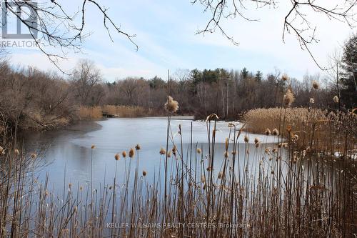 Tba Concession Rd 2, Uxbridge, ON 