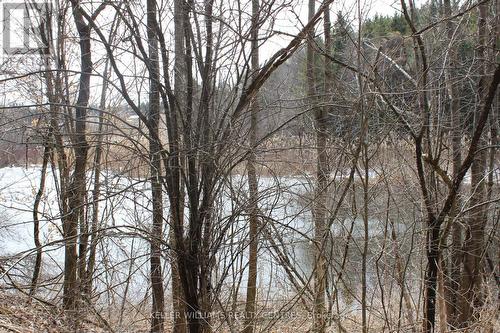 Tba Concession Rd 2, Uxbridge, ON 