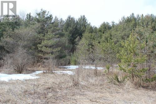 Tba Concession Rd 2, Uxbridge, ON 