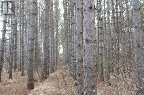 Tba Concession Rd 2, Uxbridge, ON 