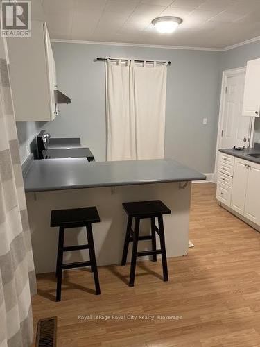 81 Edinburgh Road N, Guelph (Downtown), ON - Indoor Photo Showing Kitchen
