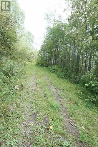 Lot 1 Campbell'S Road, Timiskaming (Tim - Outside - Rural), ON - Outdoor
