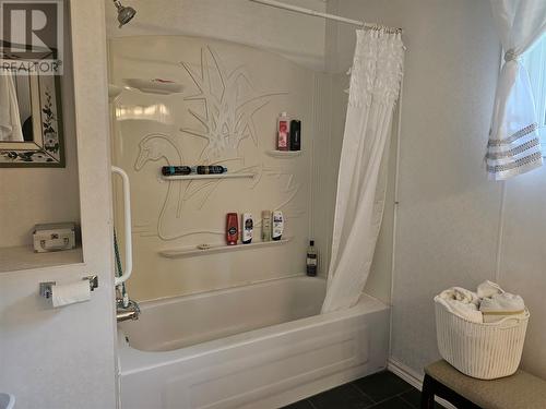 40 Regional Street, Channel-Port Aux Basques, NL - Indoor Photo Showing Bathroom