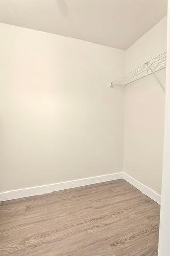 Penderie (Walk-in) - 204-6 Rue Du Curé-André-Préseault, Gatineau (Gatineau), QC - Indoor