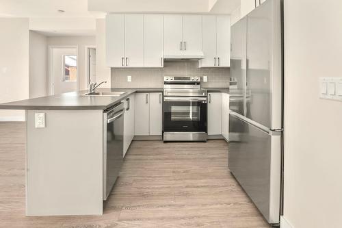 Kitchen - 205-6 Rue Du Curé-André-Préseault, Gatineau (Gatineau), QC - Indoor Photo Showing Kitchen