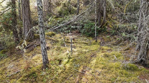 Lot 77 Elan Pl, Sooke, BC 