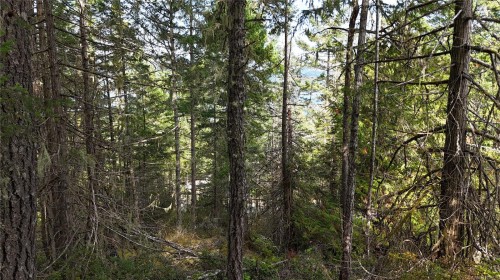 Lot 77 Elan Pl, Sooke, BC 