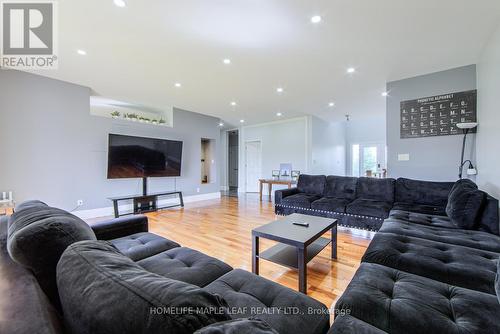 9035 Highway 89, Adjala-Tosorontio, ON - Indoor Photo Showing Living Room