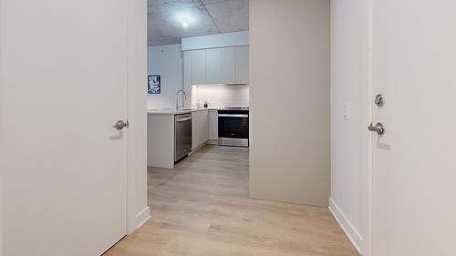 Hall d'entrée/Vestibule - 511-9290 Av. Dubuisson, Montréal (Mercier/Hochelaga-Maisonneuve), QC - Indoor Photo Showing Other Room