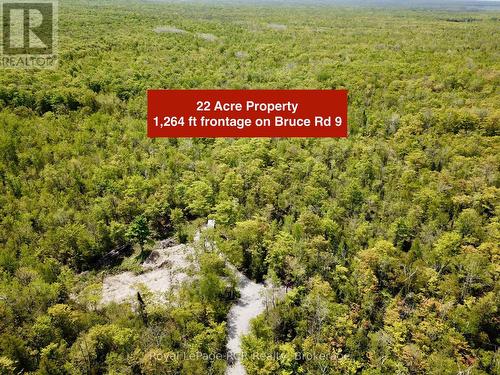22 acre lot with 1,264ft of road frontage. - 2248 Bruce Rd 9 Road, Northern Bruce Peninsula, ON 