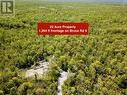 22 acre lot with 1,264ft of road frontage. - 2248 Bruce Rd 9 Road, Northern Bruce Peninsula, ON 