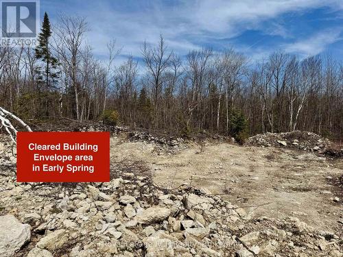 Nice level cleared area. - 2248 Bruce Rd 9 Road, Northern Bruce Peninsula, ON 