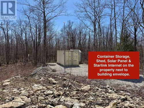 Driveway right to cleared building envelope. - 2248 Bruce Rd 9 Road, Northern Bruce Peninsula, ON 