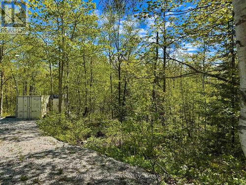 2248 Bruce Rd 9 Road, Northern Bruce Peninsula, ON 