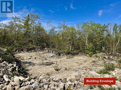 Complete privacy from road. - 2248 Bruce Rd 9 Road, Northern Bruce Peninsula, ON 