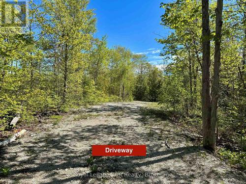 Mature property. - 2248 Bruce Rd 9 Road, Northern Bruce Peninsula, ON 