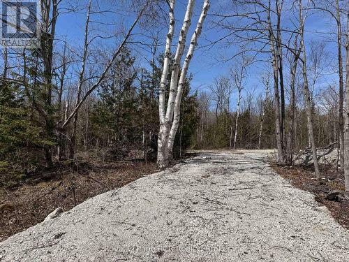 Nice wide driveway for easy access. - 2248 Bruce Rd 9 Road, Northern Bruce Peninsula, ON 
