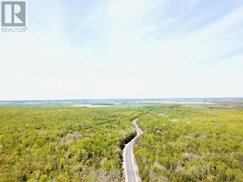 Beautiful Bruce Peninsula forests. - 2248 Bruce Rd 9 Road, Northern Bruce Peninsula, ON 