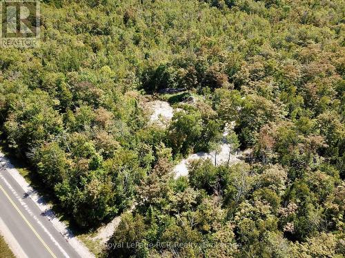 Driveway allows you to use property now. - 2248 Bruce Rd 9 Road, Northern Bruce Peninsula, ON 