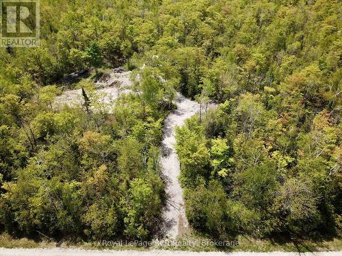 Or plan your permanent home or forest retreat. - 2248 Bruce Rd 9 Road, Northern Bruce Peninsula, ON 